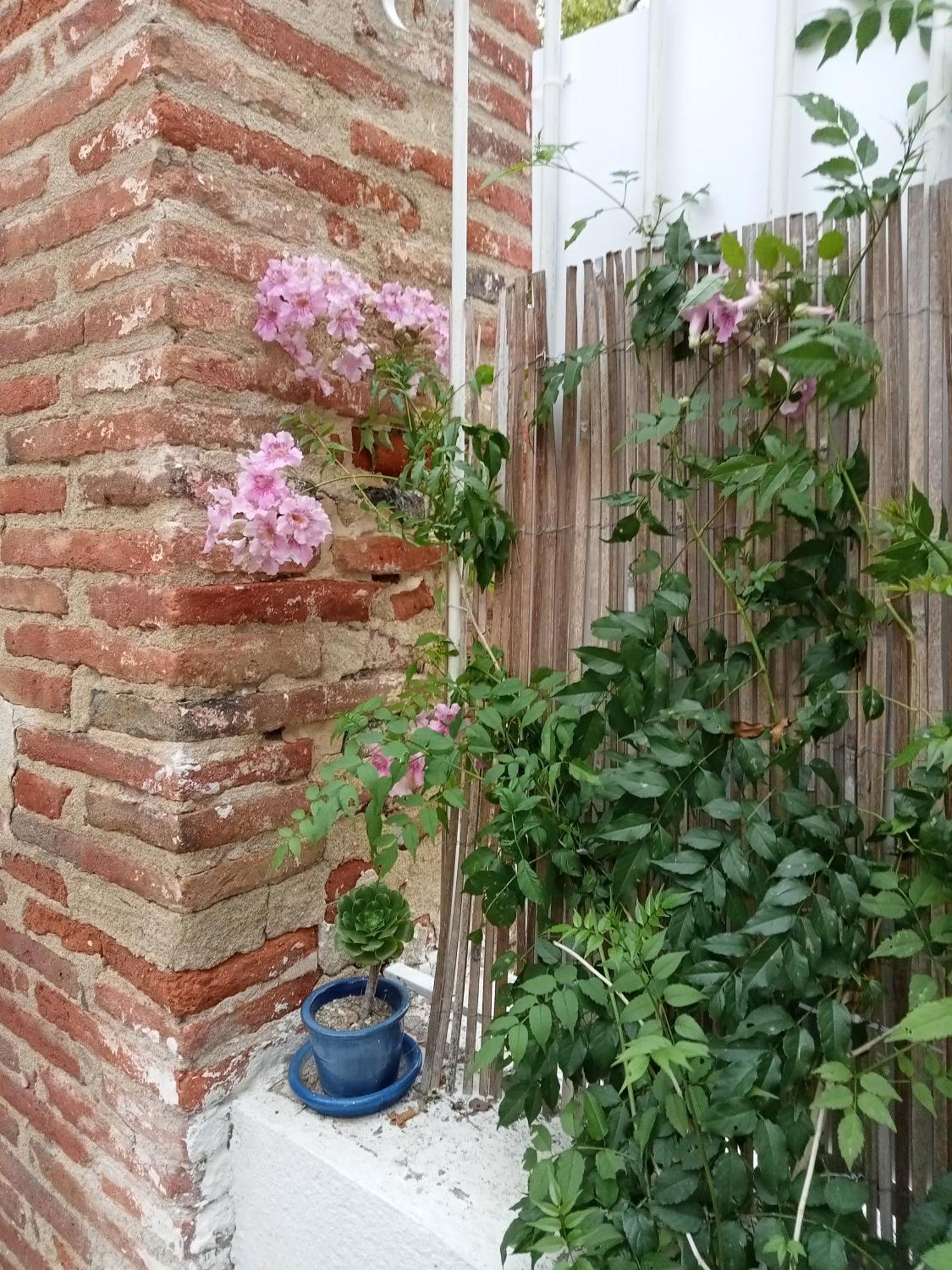 Le Mas Palegry Chambres D'Hotes Perpignan Kültér fotó