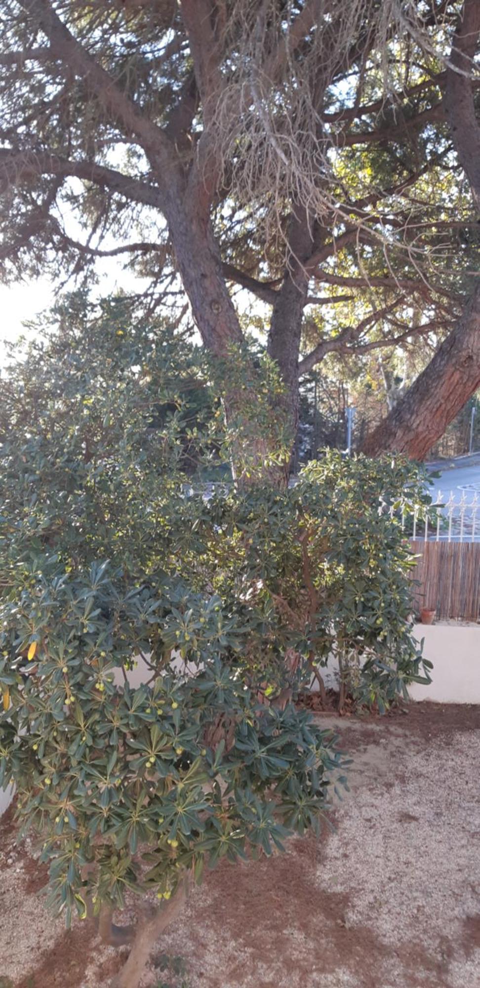 Le Mas Palegry Chambres D'Hotes Perpignan Kültér fotó